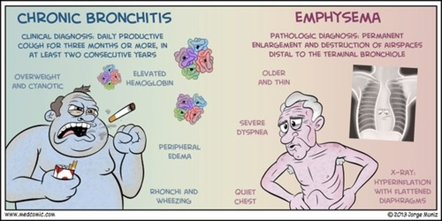 <p>1. small airway disease</p><p>- chronic bronchitis</p><p>- airway inflammation, airway fibrosis, luminal plugs, increased airway resistance</p><p>2. parenchymal destruction</p><p>- emphysema</p><p>- loss of elasticity at alveoli, leading to air trapping</p>