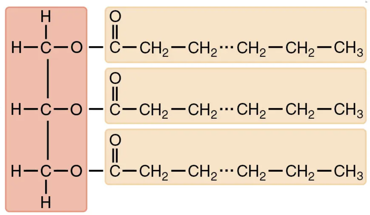<p>what structure is this?</p>