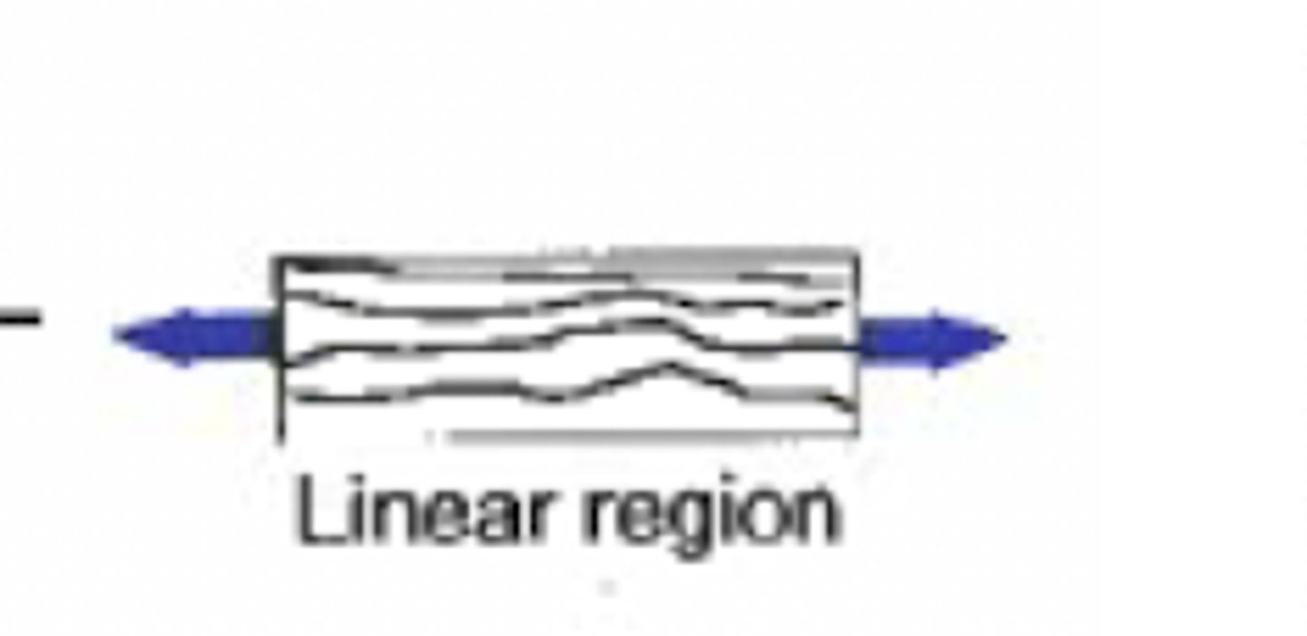 <p>linear region (wavy)</p>