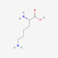 <p>lysine (lys)</p>
