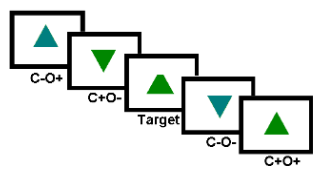 <p>participants with either high or low scores on the AQ had to:</p><ul><li><p>perform a visual search task with distractors of varying similarity to the target on measures of colour + orientation</p></li><li><p>be measured via EEG on neural markers for attention allocation</p></li></ul><p></p>