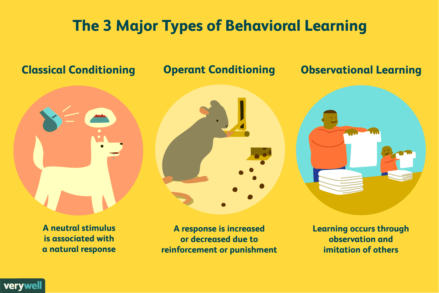 <p>behaviorism</p>