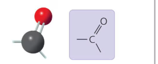 <p>What functional group is this?</p>