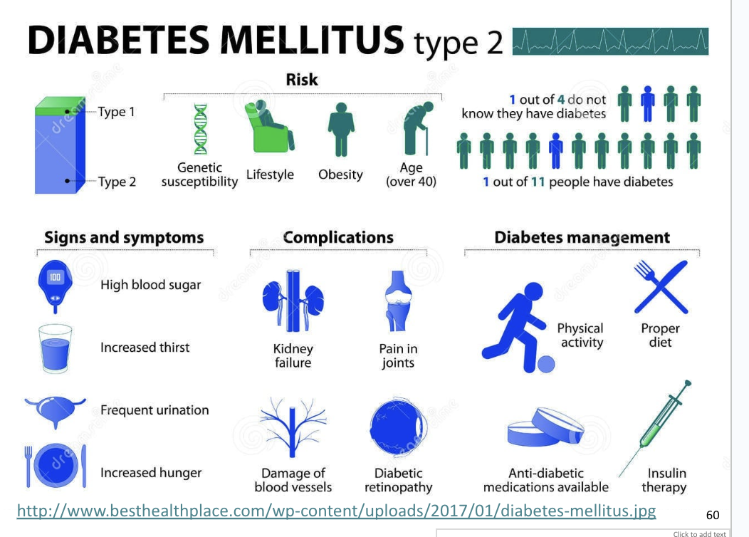 <p>Primarily linked to unhealthy lifestyle</p><ul><li><p>Type II diabetes is more common</p><ul><li><p>More body fat decreases insulin sensitivity of other cells</p></li><li><p>Target cells have fewer insulin receptors</p></li></ul></li></ul><p></p>