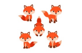<p><span>group of individuals of same species, living and interacting with one another in a particular area</span></p>