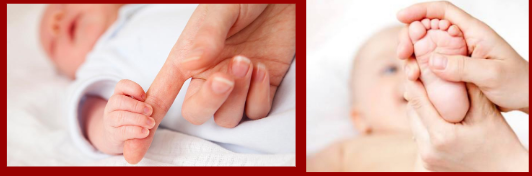 <p>Palmer and Plantar Grasp Reflex</p>