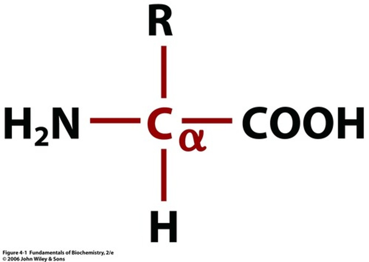 <p>carboxylic group</p><p>Carbon double bonded to oxygen and single bonded to OH --> will drop that H</p>