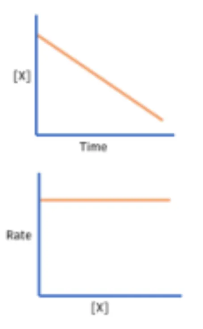 <p>Determine the order of reaction in respect to a specific reactant as seen in these graphs</p>
