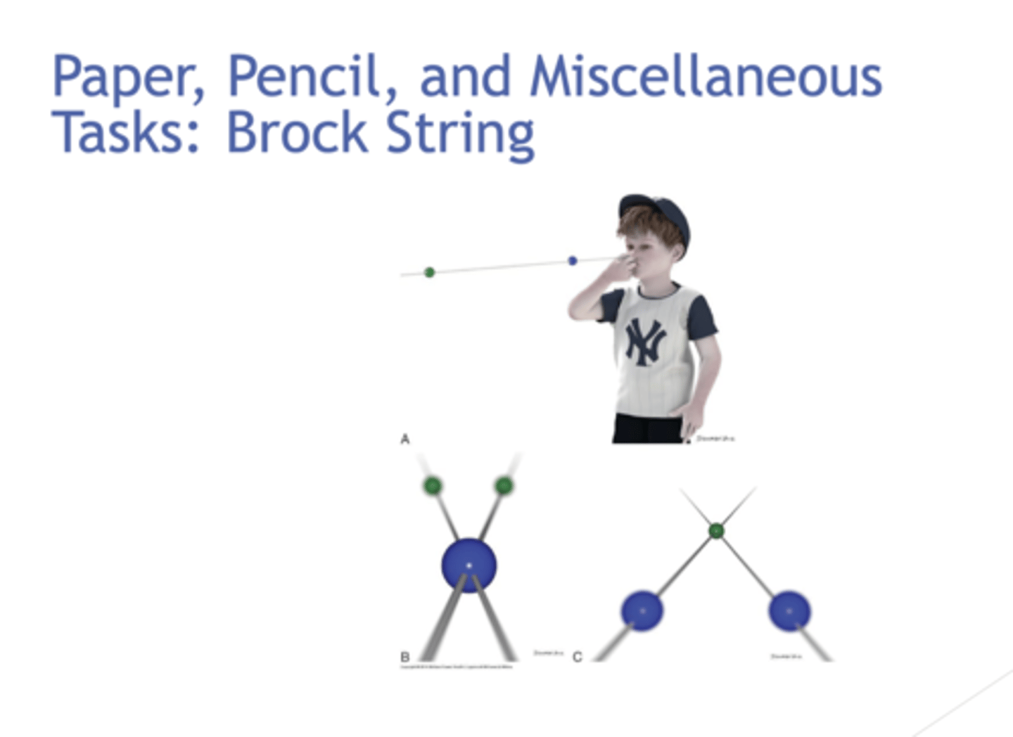 <p>the accuracy of fixation</p>