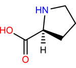 <p>R = (CH₂)₃ forming a ring with the amino group</p>