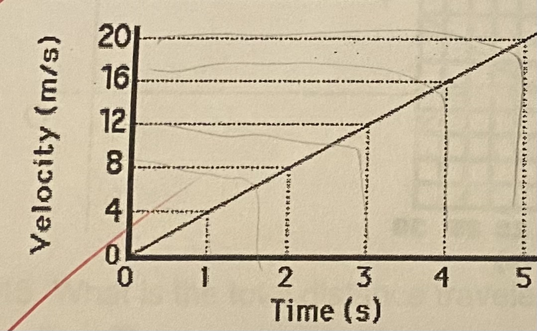 <p><strong>What does the graph below illustrate about acceleration?</strong></p><p>(a) The acceleration increases</p><p>(b) The acceleration decreases</p><p>(c) The acceleration is constant</p><p>(d) The acceleration is zero</p>