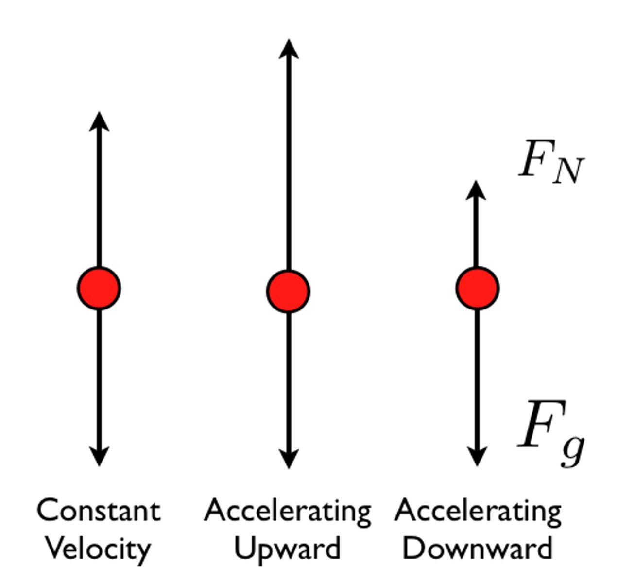 <p>Because the elevator is accelerating upwards, the Net Force must be going up. This means that the Normal Force must be greater than the force of Gravity!</p>