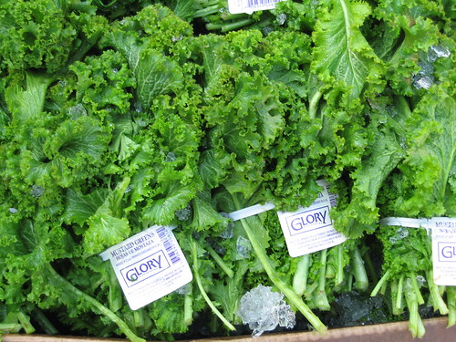 narrow stems and small leaves that range in shape. Many are a normal leaf shape, while some have what looks like "cutouts", and others are just tiny leaves sticking on to the stem. They range in color from light green-green-red/purple, as shown.
