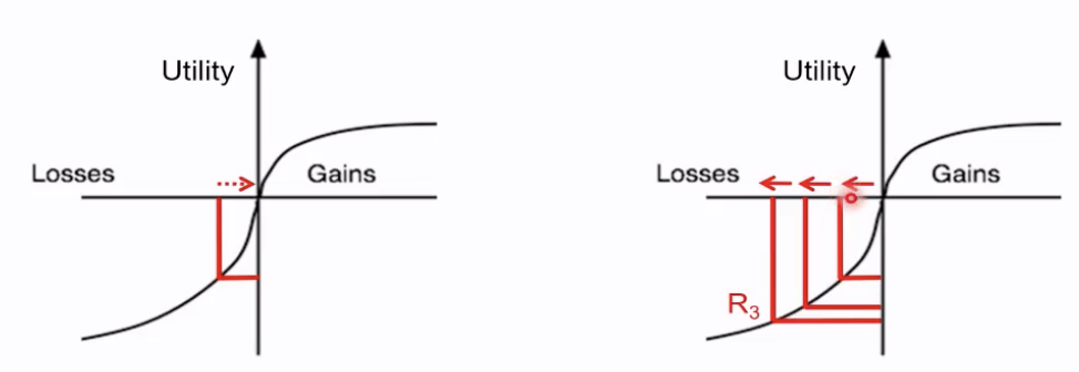 <ol><li><p>person&nbsp;‘re-references’ after each outcome&nbsp;</p></li></ol><ul><li><p>choices NOT influenced by past gains or losses → NO loss chasing&nbsp;</p></li><li><p>go back to origin after each decision&nbsp;</p></li></ul><ol start="2"><li><p>person does NOT re-reference b/w each decision&nbsp;</p></li></ol><ul><li><p>after 3 successive losses, curve flattens which may make person INSENSITIVE to further losses → YES loss chasing&nbsp;</p></li><li><p>make decision from R3 → not worried about losses that much&nbsp;(not loss averse) </p></li></ul><p></p>