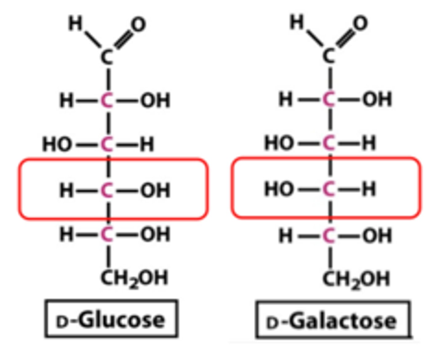 <p>- Molecules that differ in configuration at only one chiral carbon Examples:</p><p>• D-Glucose &amp; D-Mannose → C-2 epimers (where the C differs)</p><p>• D-Glucose &amp; D-Galactose → C-4 epimers</p>