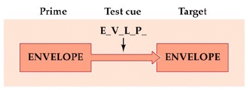 <p>• full or partial repetition of stimulus can prime form of objects and words</p>
<p>• example: word-fragment completion task </p>
<p>• specific to sensory modality of learning phase → relies on sensory cortices </p>
<p>• can last hours to months</p>