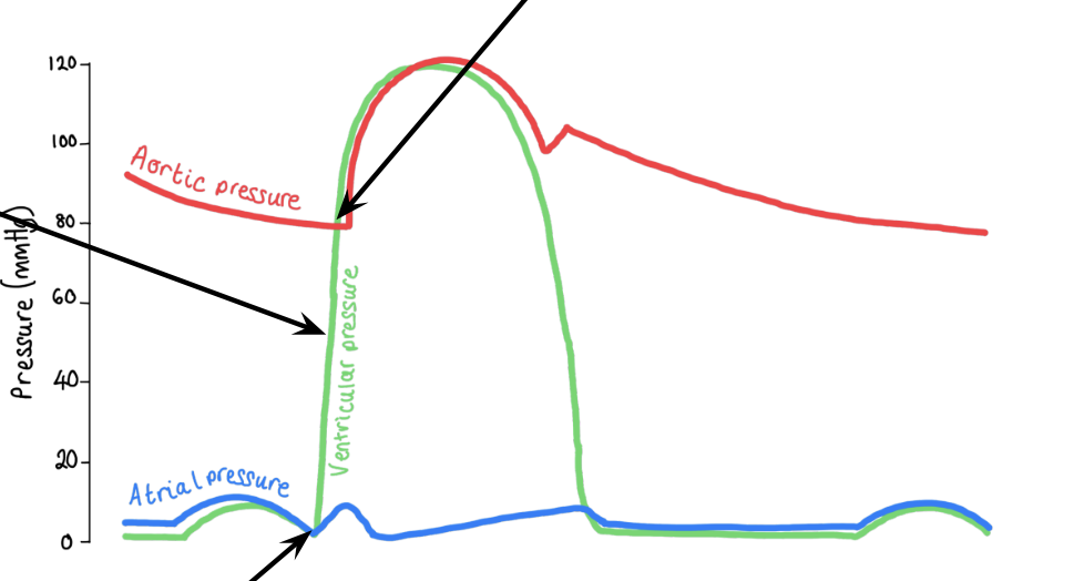 <p>explain what happens on this part of the graph</p>