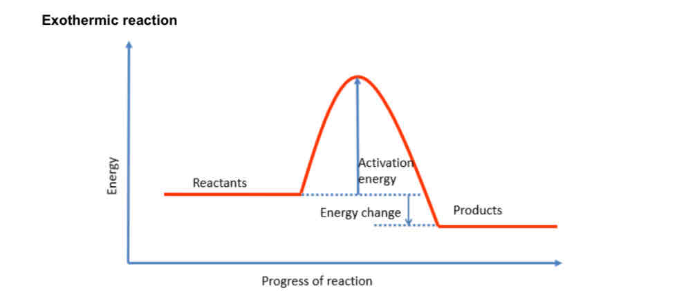 <p>• Products have lower energy than reactants</p><p>• Energy change for an exothermic reaction is negative</p>