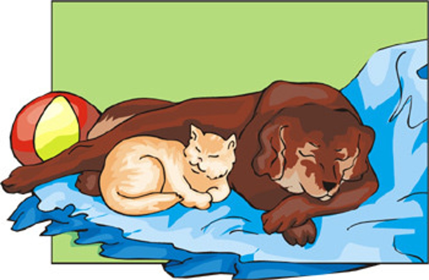 <p>pet</p>