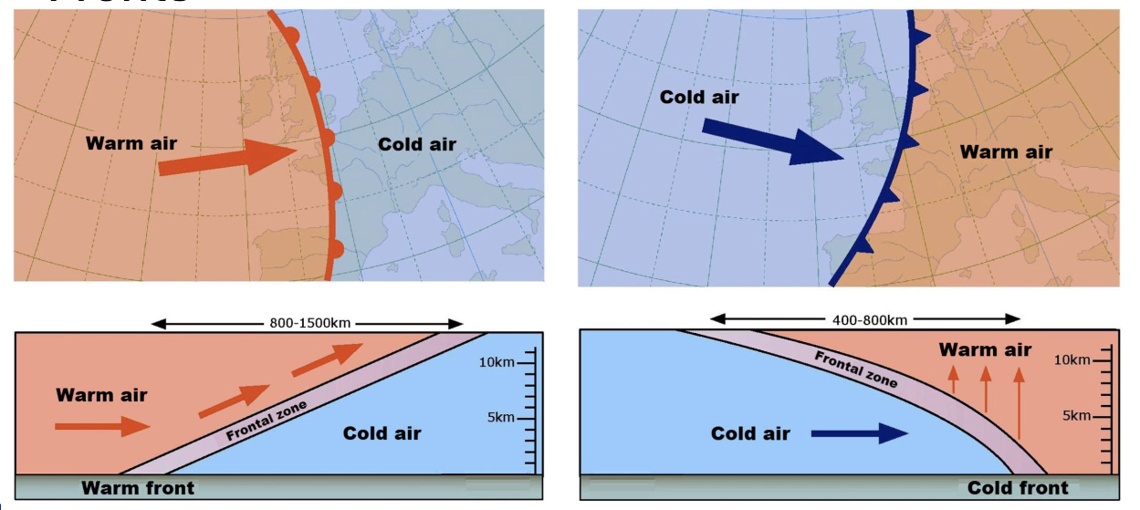 <ul><li><p>A front is the boundary between 2 different air masses</p></li><li><p>Defined by the direction of motion of the masses</p></li><li><p>Two main types</p><ul><li><p>Warm front - where a warmer air mass is moving into a cooler one</p></li><li><p>Cold front - where a cooler air mass is moving into a warmer one</p></li></ul></li><li><p>Two additional types</p><ul><li><p>Occluded front - occurs when a cold front meets a warm front</p></li><li><p>Stationary front - when there is no relative motion of air masses</p></li></ul></li></ul><p></p>