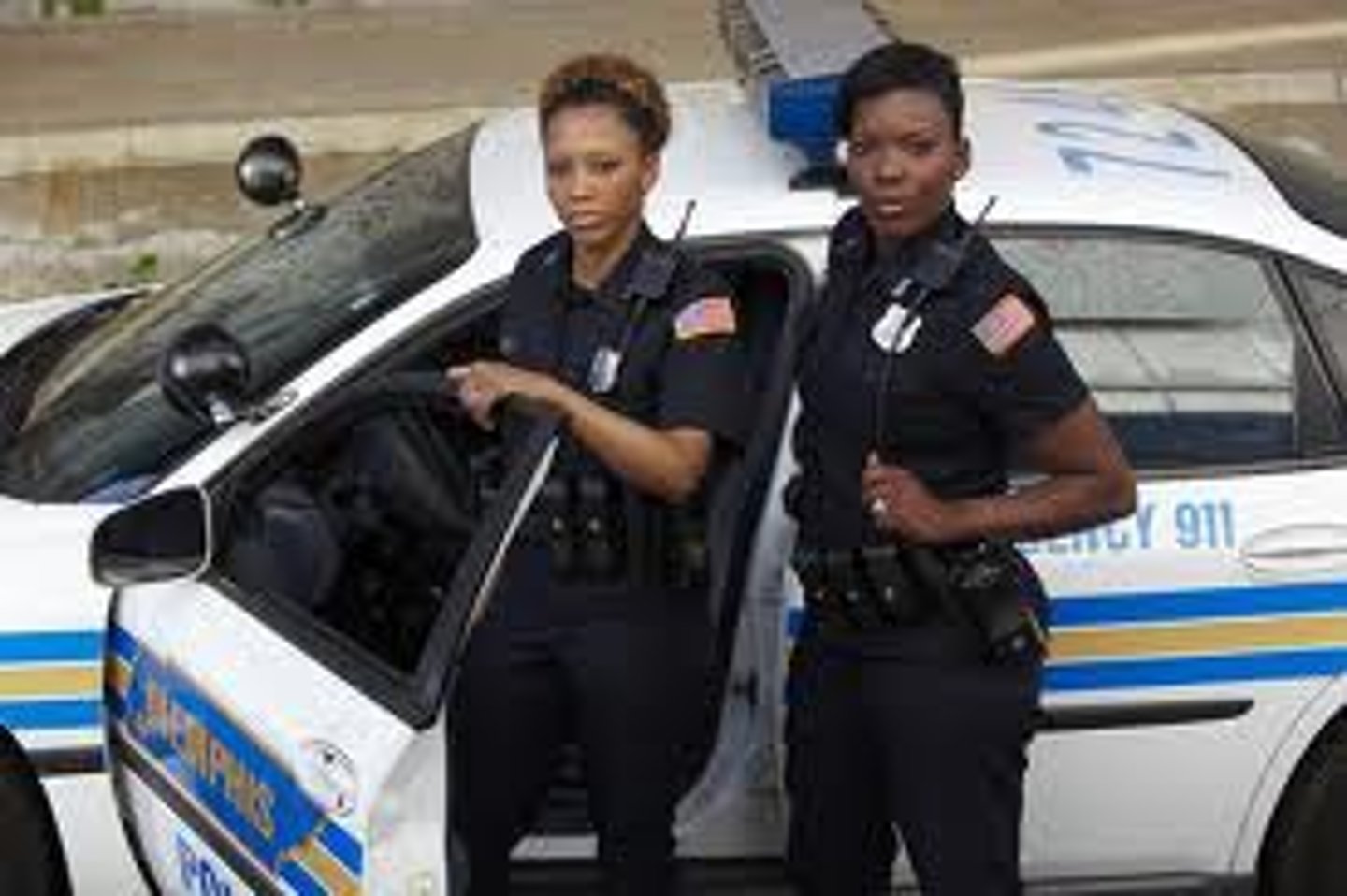 <p>police officer</p>