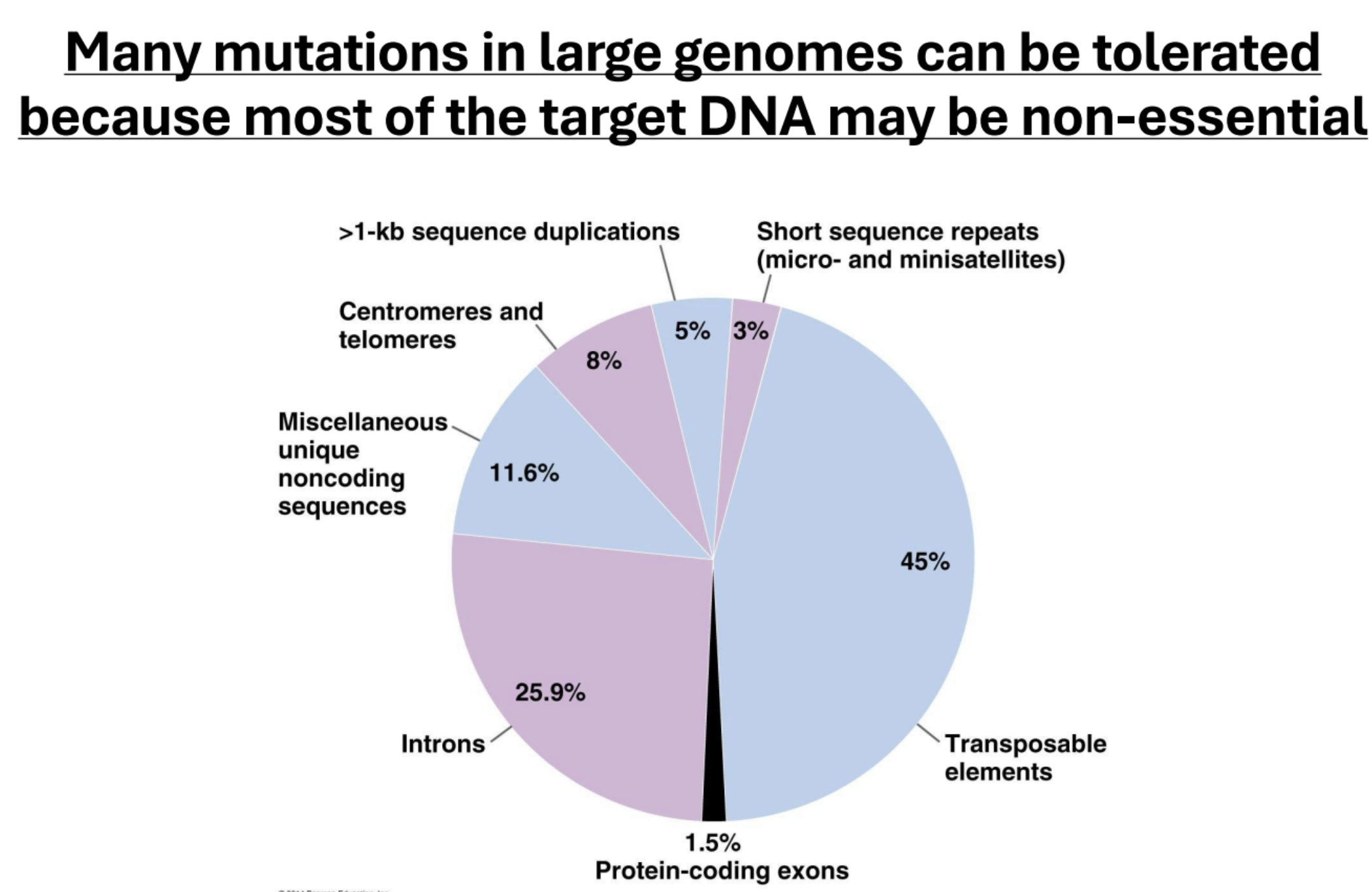 <p>Because most of the target DNA may be non-essential</p>