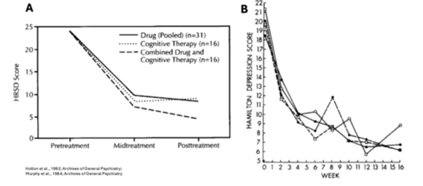 <p>Panel A: All three group significantly improved, and there is no significant differences between groups</p><p>Panel B: no differences between treatment groups</p><p>No benefits from combining antidepressant medication and cognitive therapy</p>