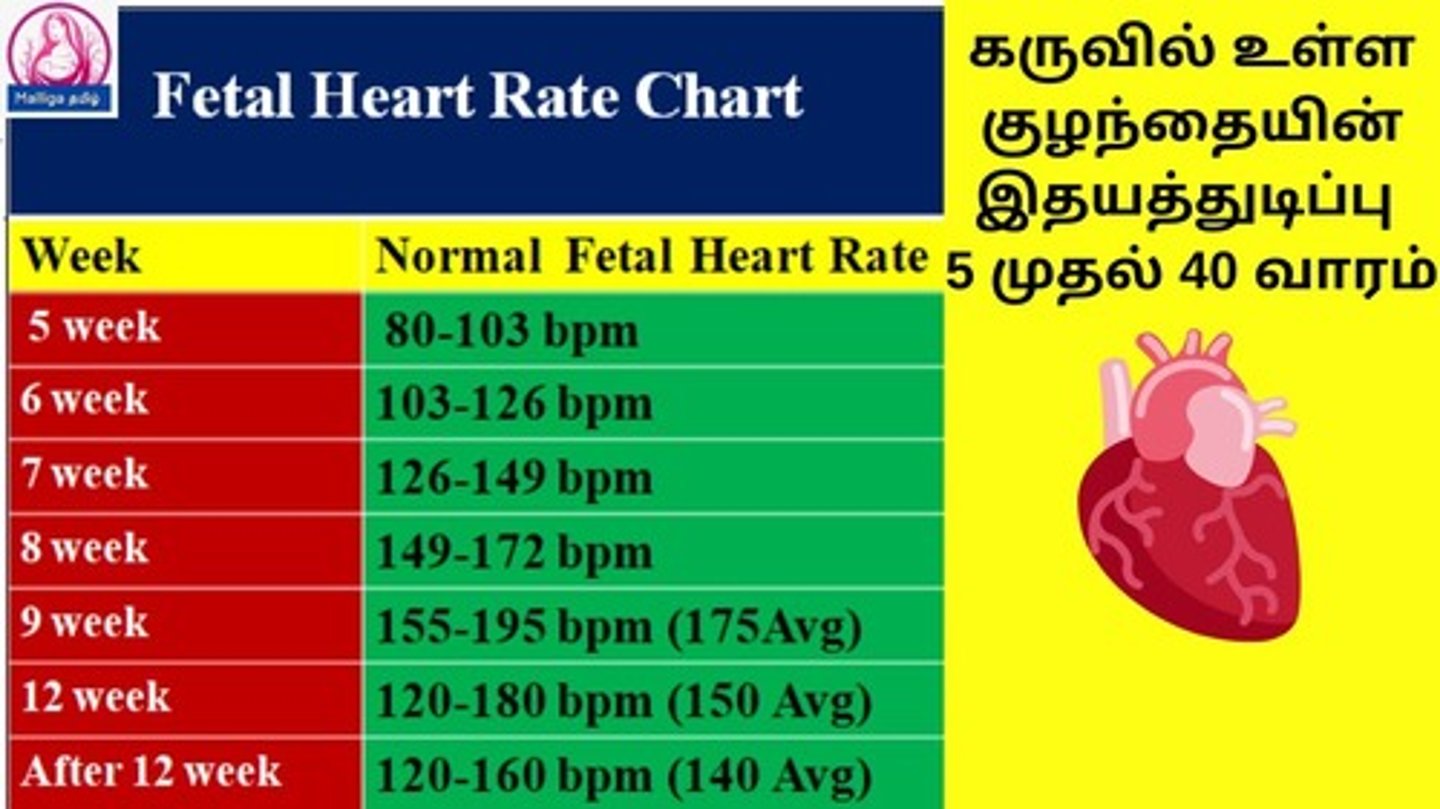 <p>A moderate amount of straw-colored fluid.</p><p>An amniotomy is an artificial rupture of membranes and normal amniotic fluid is straw-colored and odorless. Fetal heart tones of 160 indicate tachycardia, and greenish fluid is indicative of meconium, so answers A and C are incorrect. If the nurse notes the umbilical cord, the client is experiencing a prolapsed cord</p>