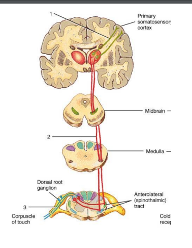 <p>1</p>