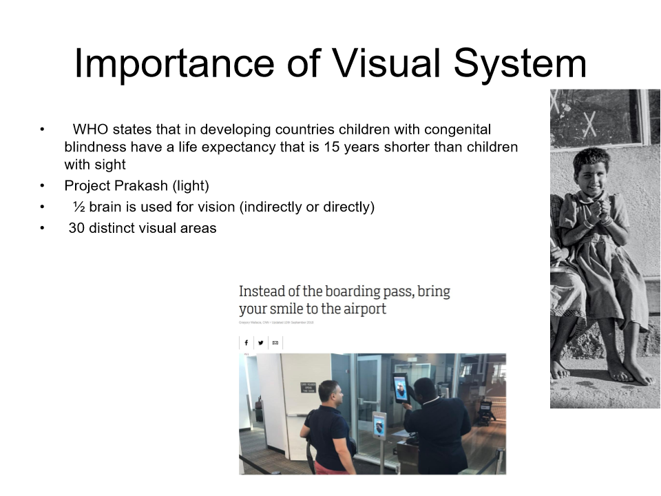<p><mark data-color="rgba(0, 0, 0, 0)" style="background-color: rgba(0, 0, 0, 0); color: inherit;">essential for survival and daily functioning, acting as the primary sensory system to construct a mental representation of the world. </mark></p><p></p><p><mark data-color="rgba(0, 0, 0, 0)" style="background-color: rgba(0, 0, 0, 0); color: inherit;">half the brain is used for sight directly and indirectly </mark></p><p><mark data-color="rgba(0, 0, 0, 0)" style="background-color: rgba(0, 0, 0, 0); color: inherit;">30 distinct visual areas</mark></p>