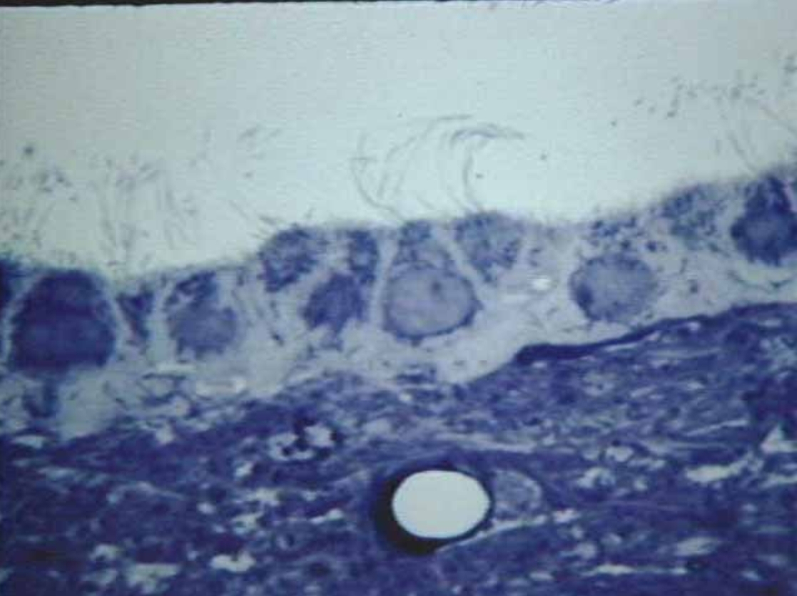 <p>What is this?</p>