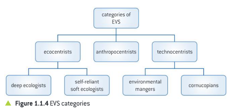 <p>Ecocentrists</p><ul><li><p>Deep Ecologists</p></li><li><p>Self-reliant soft-ecologists</p></li></ul><p>Anthropocentrists</p><p>Technocentrists</p><ul><li><p>Environmental Managers</p></li><li><p>Cornucopians</p></li></ul>