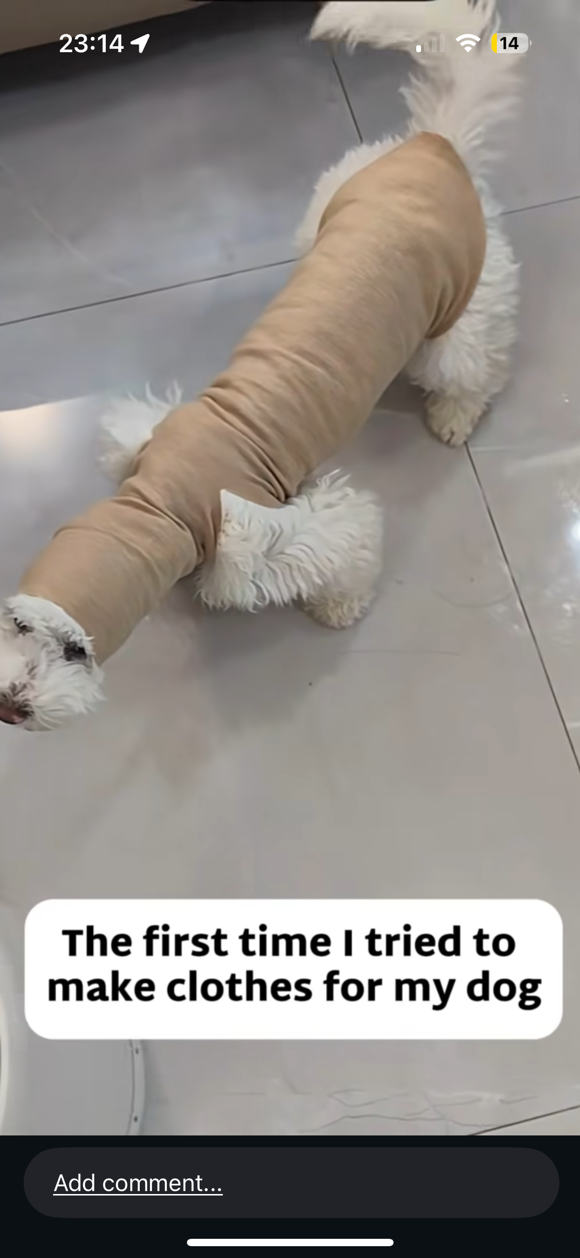 <p>~1700 cm-1 (strong)</p>