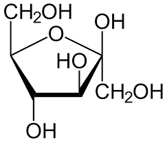 <p>5 carbon sugar</p>