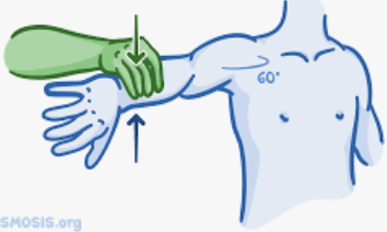 <p>what special test involves over pressure in IR in scaption position (coils supraspinatus)</p>