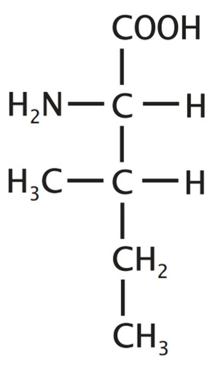 <p>Hydrophobic/Nonpolar, Alkyl/Aliphatic</p>