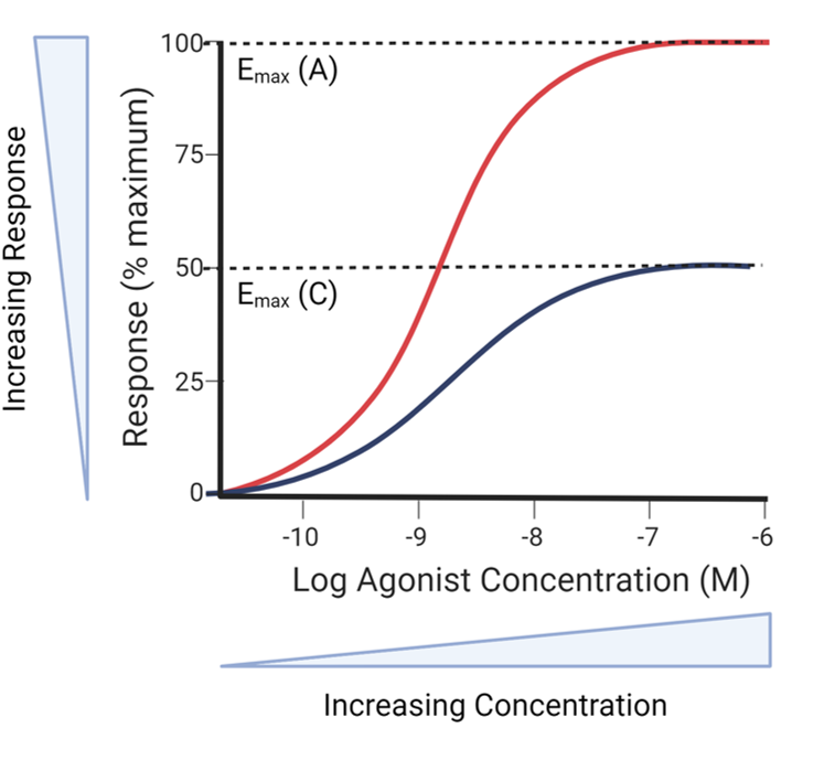 <p>Agonist C has a maximal response (Emax) below that of Agonist A. There is reduced efficacy.</p><p>Agonist C is a partial agonist. Agonist A is a full agonist.</p>