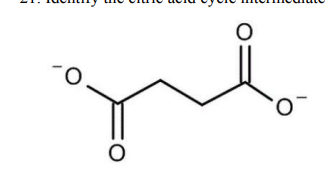 None of the above 

It is succinate, and the enzyme that produces it is succinyl-coA synthethase that uses a GDP + PI  first substrate-level phosphorylation 
