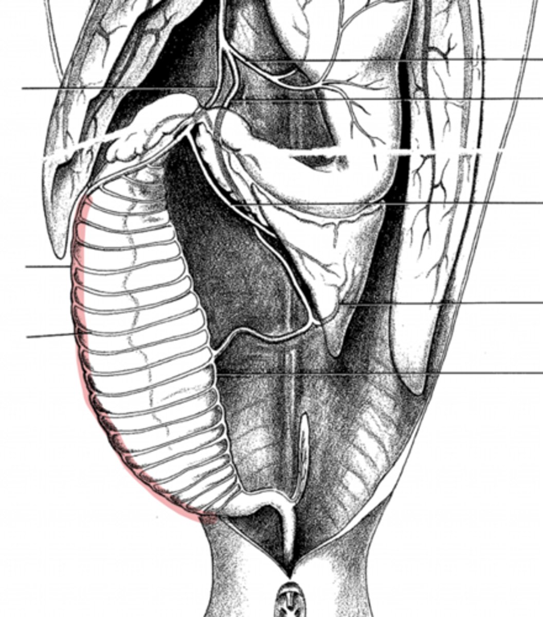 <p>what is this?</p>