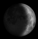 term image