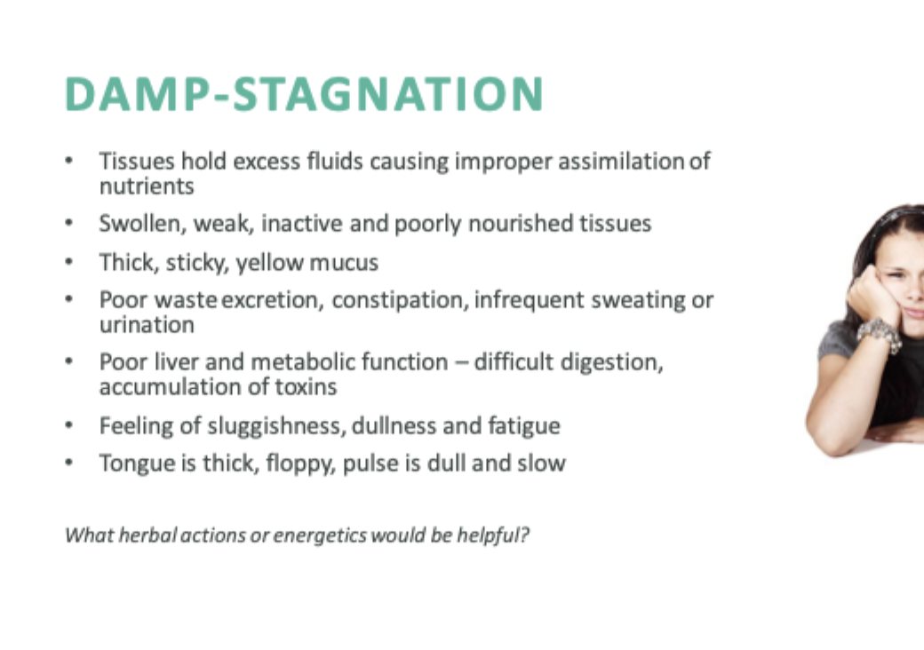 <p>Tissues hold excess fluids causing improper assimilation of nutrients. Swollen, weak inactive and poorly nourished tissues. Thick, sticky, yellow mucus. Poor waste excretion, constipation, infrequent sweating or urination. Poor liver and metabolic function-difficult digestion, accumulation of toxins. Feeling of sluggishness, dullness and fatigue. Tongue is thick, floppy, pulse is dull and slow. Herbal actions that may be helpful include diuretic, stimulating, and warming properties, found in herbs like dandelion, fennel, and turmeric. </p>