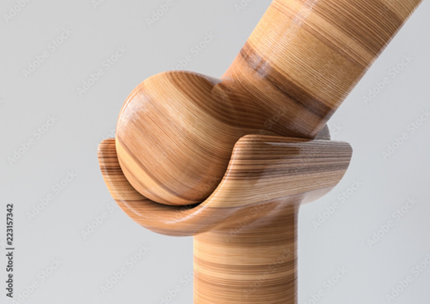 <p>Joint between bones that permits motion in only one plane</p>