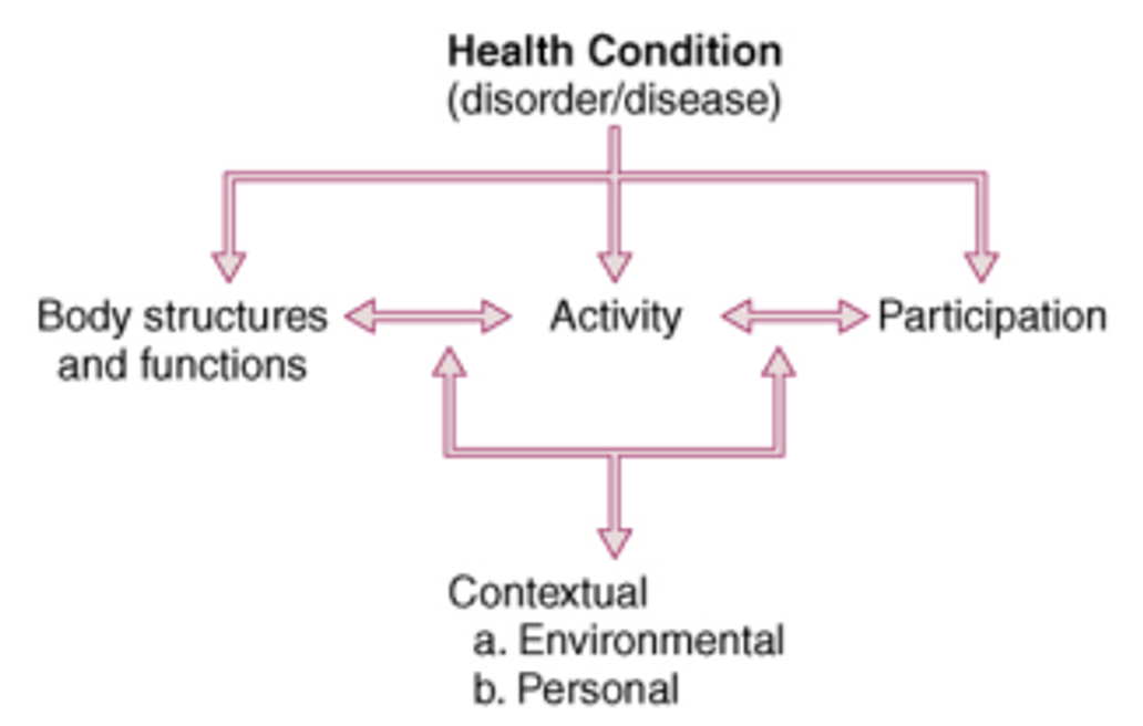 <p>PT visualizes the entire scenario of the pt, because of his/her condition and enables the PT to think what he/she can do to improve and help the pt to get back to their previous state.</p>