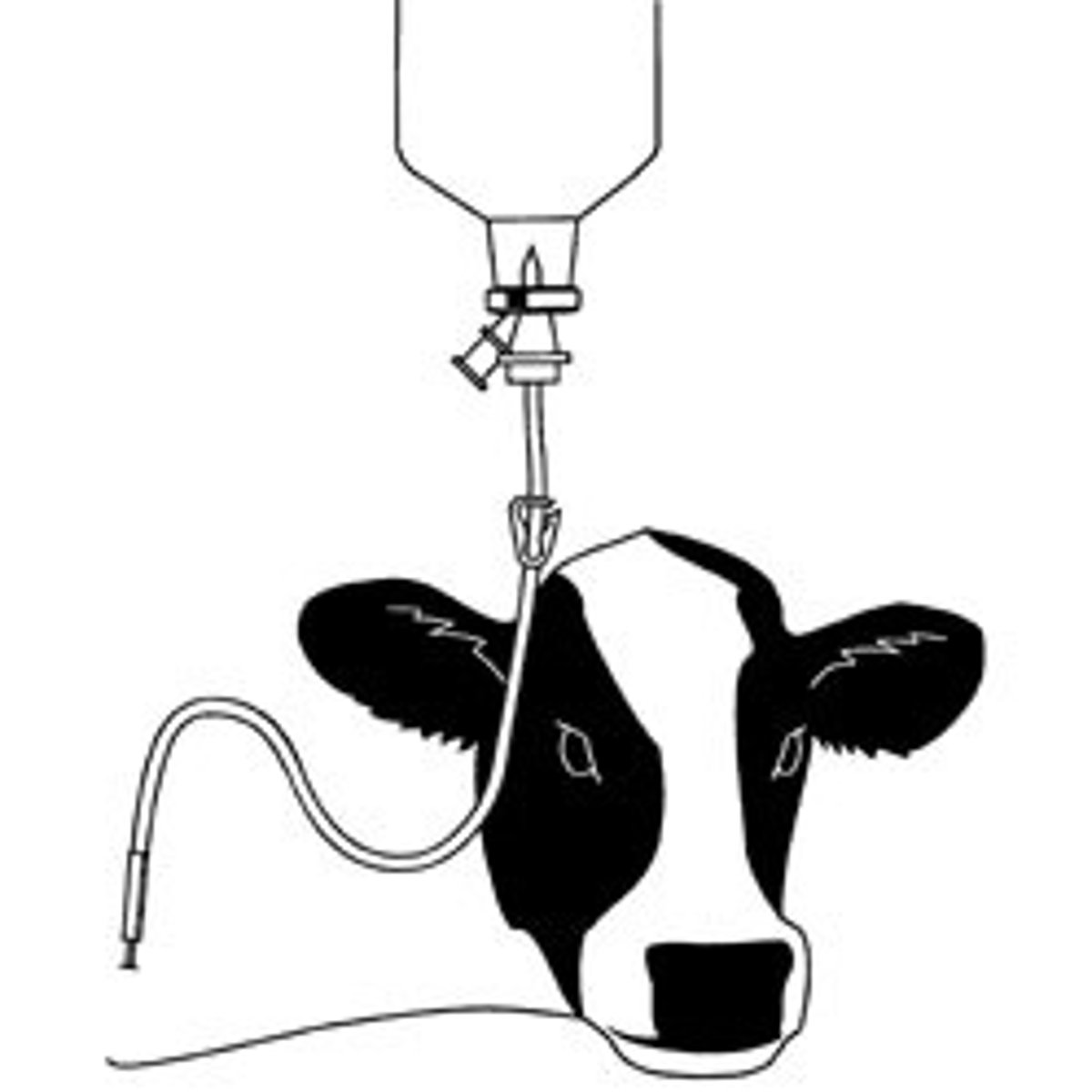 <p>high concentration of drug in blood because it delivers the drug into the bloodstream either through needle or catheter</p>