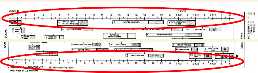 <p>THE AGE LINE </p>