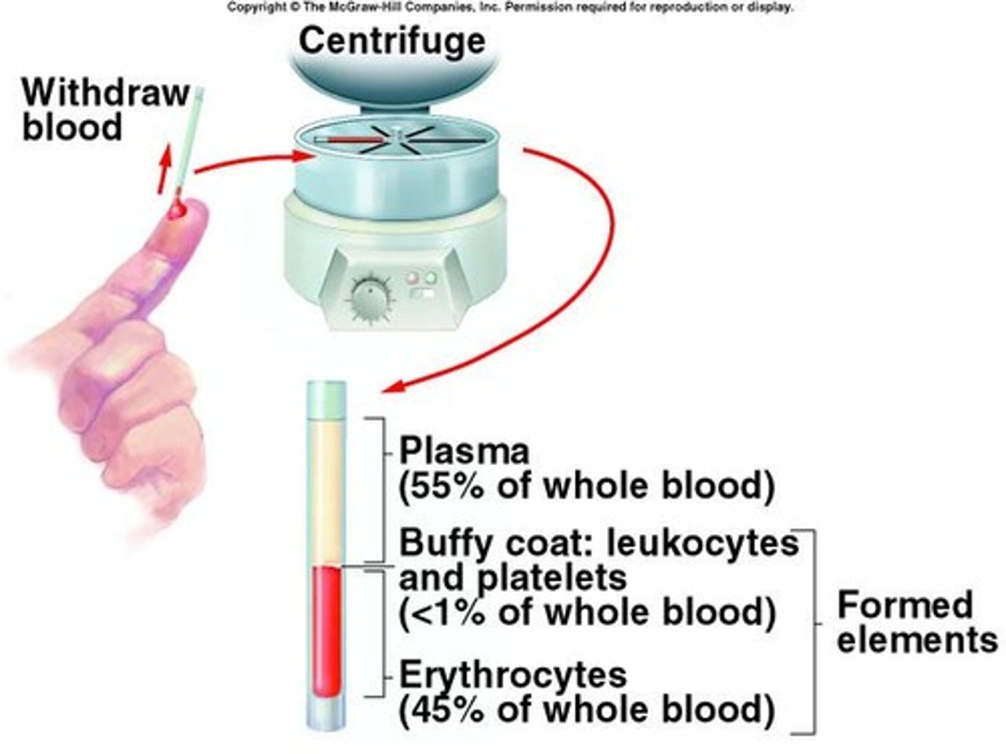 <p>Liquid component of blood, ~55% volume.</p>