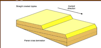 <p>Cross laminae that all dip in the same direction and lay in the same plane, caused by straight ripples</p>