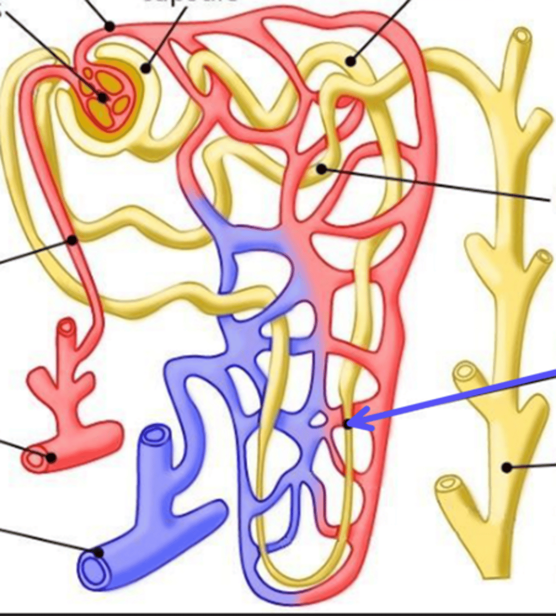 <p>What is the arrow pointing at?</p>