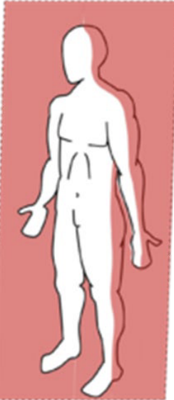 <p>Identify the plane region</p>