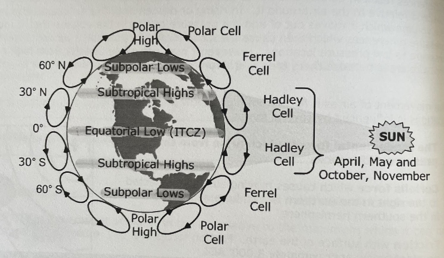 <ol><li><p>polar cell</p></li><li><p>hadley cell</p></li><li><p>ferrel cell</p></li></ol>